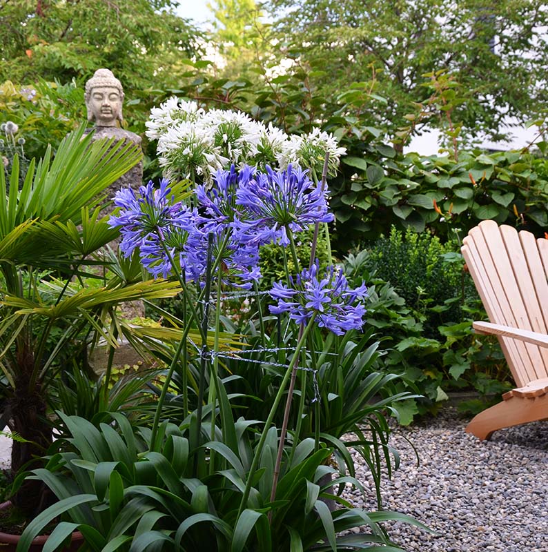 Ferme historique devenue maison d'hôtes avec jardin de charme